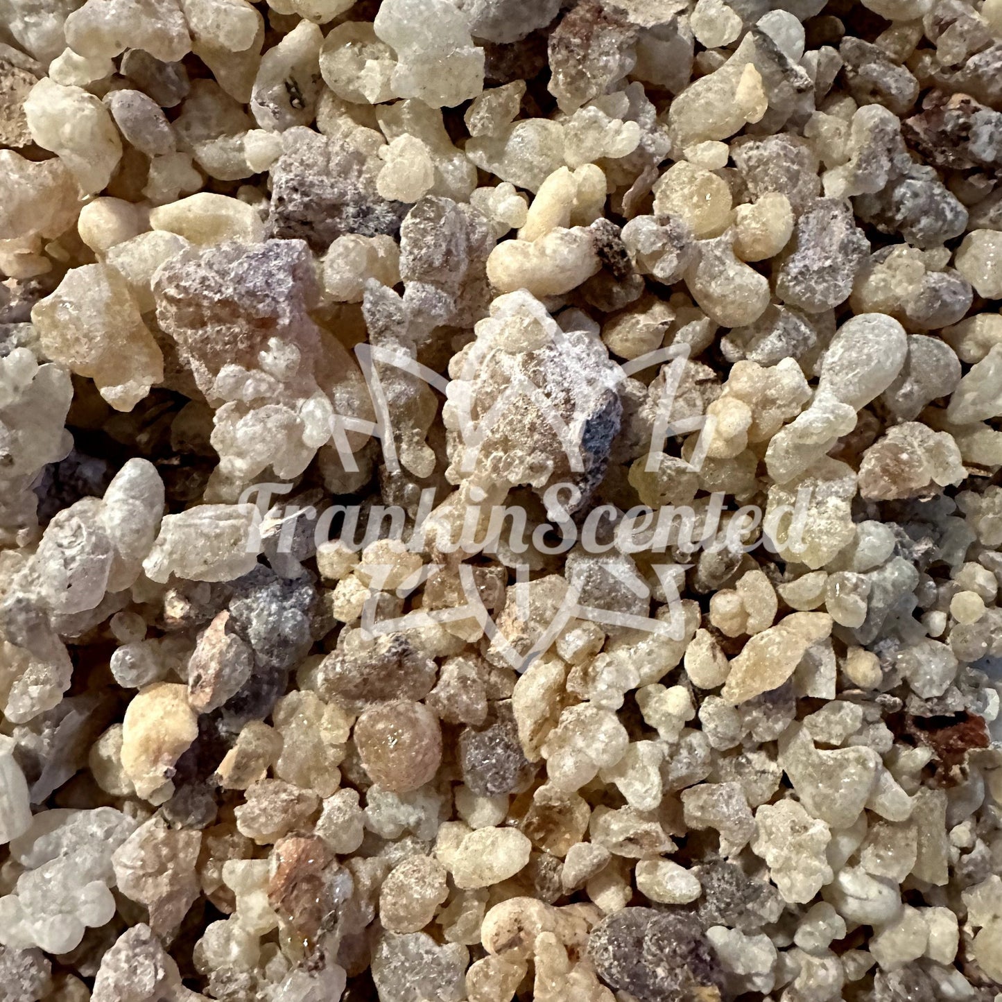 Frankincense Boswellia Frereana | Fas Kabir Grade | 100% Pure & Natural | Incense Resin